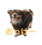れもぽんのスタンプ（個別スタンプ：5）
