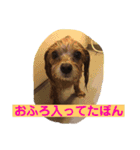 れもぽんのスタンプ（個別スタンプ：10）