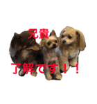 れもぽんのスタンプ（個別スタンプ：11）