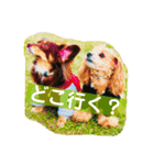 れもぽんのスタンプ（個別スタンプ：13）