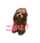 れもぽんのスタンプ（個別スタンプ：14）