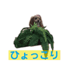 れもぽんのスタンプ（個別スタンプ：15）