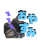 なが山家のどうぶつたち（個別スタンプ：3）