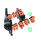 なが山家のどうぶつたち（個別スタンプ：9）