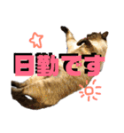 なが山家のどうぶつたち（個別スタンプ：18）