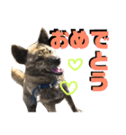 なが山家のどうぶつたち（個別スタンプ：22）