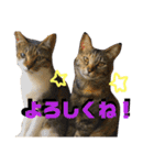 なが山家のどうぶつたち（個別スタンプ：25）