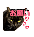 なが山家のどうぶつたち（個別スタンプ：27）