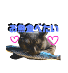 なが山家のどうぶつたち（個別スタンプ：30）