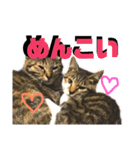 なが山家のどうぶつたち（個別スタンプ：32）