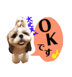 シーズーの凪さんと仲間たち（個別スタンプ：2）
