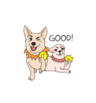 Emexdog！ (English)（個別スタンプ：21）