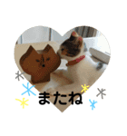 日常まるちゃんスタンプ（個別スタンプ：14）
