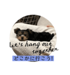 FAMILY0718（個別スタンプ：2）