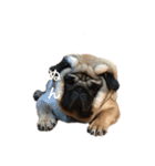 名犬ブラッシュ（個別スタンプ：5）