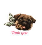 名犬ブラッシュ（個別スタンプ：16）
