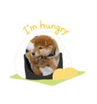 なおちゃん仔犬ver（個別スタンプ：10）