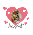 なおちゃん仔犬ver（個別スタンプ：12）