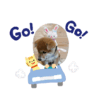 なおちゃん仔犬ver（個別スタンプ：14）