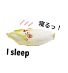リアル野菜と果物のメッセージ 英語つき（個別スタンプ：25）