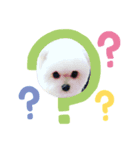 pomemaru rowa（個別スタンプ：3）
