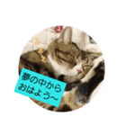 桃日々（個別スタンプ：7）