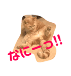 陽気なブリトニー＆おてんばサブリナ（個別スタンプ：8）