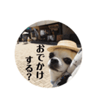 スムチのユキチ2（個別スタンプ：15）