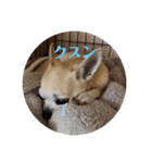 スムチのユキチ2（個別スタンプ：20）