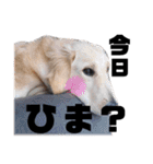 あずと愉快な仲間たち（個別スタンプ：18）