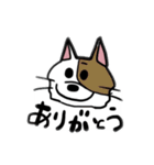 ニュアンスきゃっと（個別スタンプ：1）