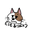 ニュアンスきゃっと（個別スタンプ：3）