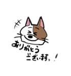 ニュアンスきゃっと（個別スタンプ：4）
