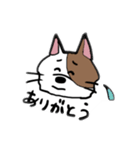 ニュアンスきゃっと（個別スタンプ：5）