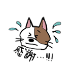 ニュアンスきゃっと（個別スタンプ：6）