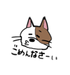 ニュアンスきゃっと（個別スタンプ：7）