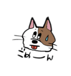 ニュアンスきゃっと（個別スタンプ：11）