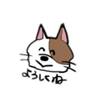 ニュアンスきゃっと（個別スタンプ：13）