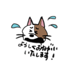 ニュアンスきゃっと（個別スタンプ：18）