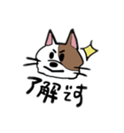 ニュアンスきゃっと（個別スタンプ：19）