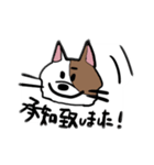 ニュアンスきゃっと（個別スタンプ：22）