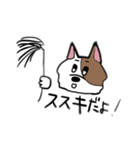 ニュアンスきゃっと（個別スタンプ：25）