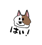 ニュアンスきゃっと（個別スタンプ：28）
