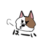 ニュアンスきゃっと（個別スタンプ：30）