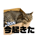 mokaのスタンプ（個別スタンプ：6）
