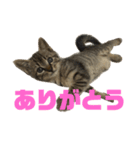 mokaのスタンプ（個別スタンプ：7）