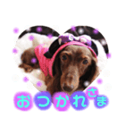 ココア♡（個別スタンプ：3）