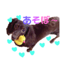 ココア♡（個別スタンプ：4）