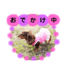 ココア♡（個別スタンプ：8）