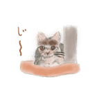 コミカル猫（個別スタンプ：5）